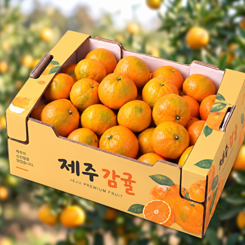 [시즌특가] 초고당도 특별선별 제주 감귤