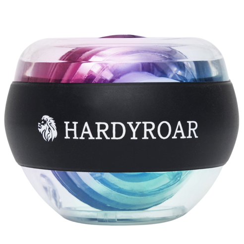 하디로어 자이로볼 손목 전완근 운동기구 운동러 솔직 후기 | 실사용 리뷰 - 상품 이미지 1