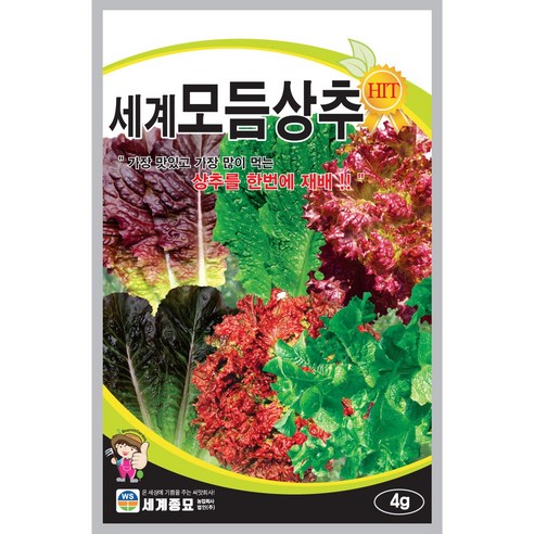 세계종묘 모듬상추 씨앗 4g, 1개