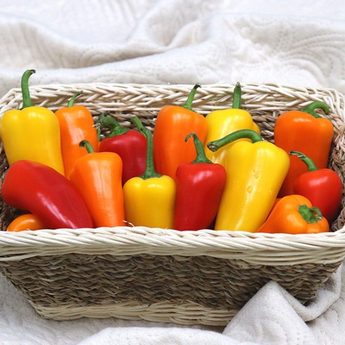 [당일출고] 농산물마루 미니 파프리카 500g 1kg 2kg 국내산 산지직송, 2kg(내외), 1박스