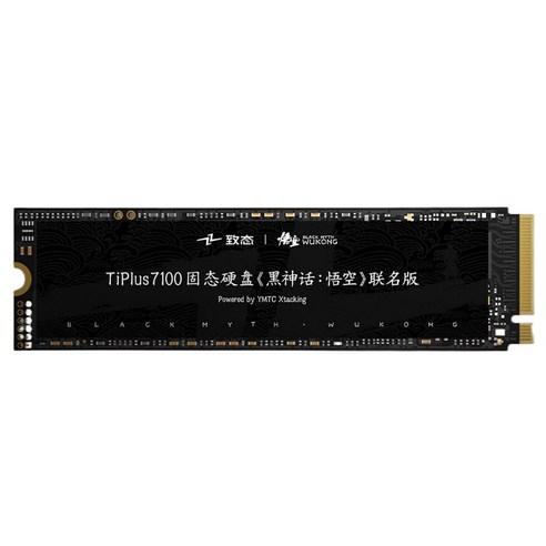 즈타이 티플러스 7100 조인트 에디션 NVMe M.2 SSD, 2TB