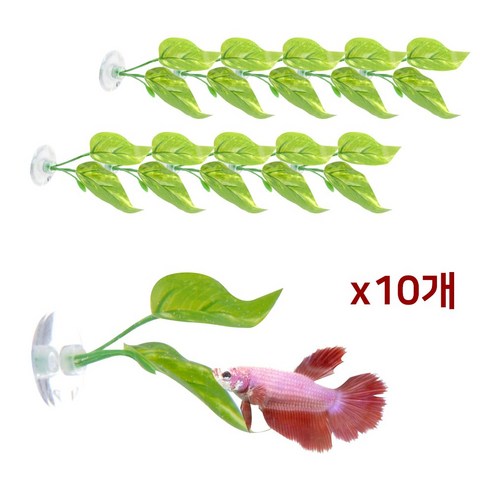 아쿠아 나뭇잎 베타침대 Q2 10개입 세트 테라리움 인공조화 하프문 인조수초 장식