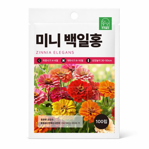[주주씨앗] 미니백일홍 씨앗 100립 키작은 왜성 백일홍 종자 씨 봄 여름 가을 파종 오래피는 꽃씨 몰 키우기, 1개