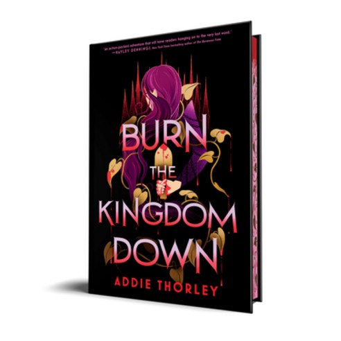 (영문도서)Burn the Kingdom Down Hardcover, Sourcebooks Fire, English, 9781728283036