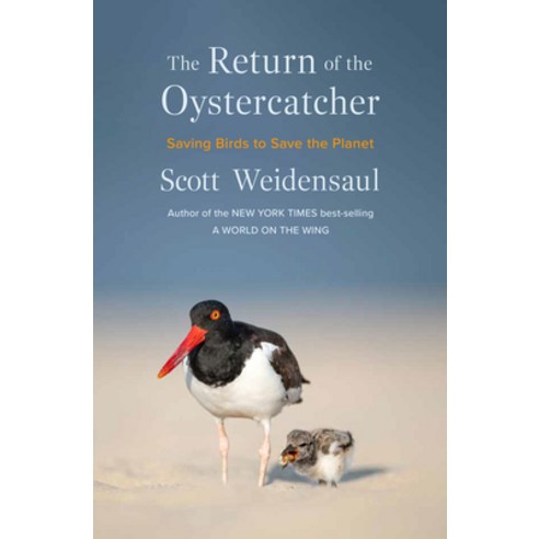 (영문도서)The Return of the Oystercatcher: Saving Birds to Save the Planet Hardcover, W. W. Norton & Company, English, 9781324036784