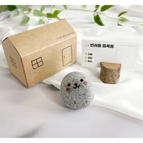 애완돌 맹구돌 반려돌 펫스톤 애완용돌 돌멩이 돌 키우기 세트