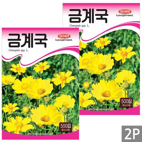 세인화분 금계국 500립 - 씨 씨앗 꽃씨 국화, 2개