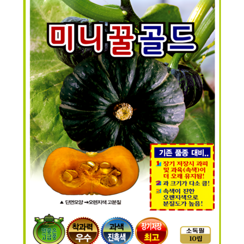 미니꿀골드 단호박 씨앗(10립) 미니꿀단호박 골드호박 오랜지색 영웅씨앗, 1개