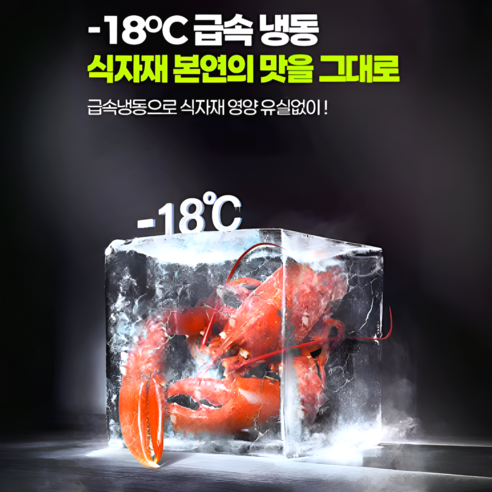 담일전자 스탠드 김치냉장고 겸용 냉동기능 대형 대용량 양문형 가정용 저소... 개봉기 | 실사용 후기 - 상품 이미지 3