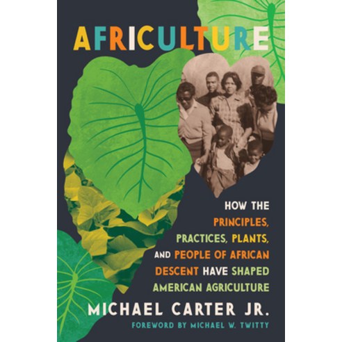 (영문도서)Africulture: How the Principles Practices Plants and People of African Descen... Hardcover, Chelsea Green Publishing Co..., English, 9781645023012