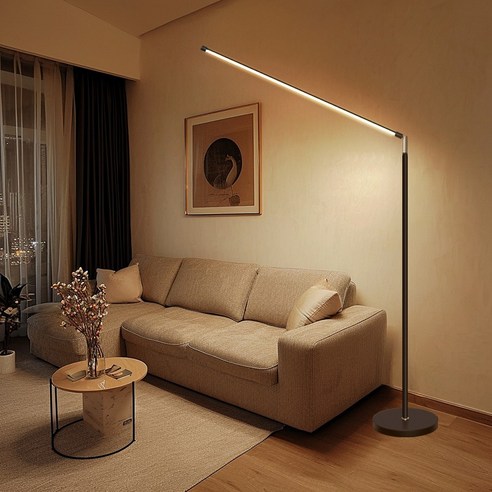 SASAKO LED 플로어 장스탠드 조명 3색모드 밝기조절 침실 거실 스탠드 각도 조절이공부 스탠드 인테리어 조명, 블랙-100cm(색상 및 밝기조절) 블랙-100cm(색상 및 밝기조절)