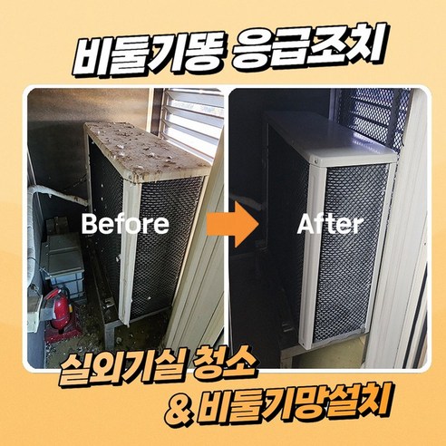 비둘기 배설물 똥 제거 실외기실 살균 청소 비둘기망 설치 완벽퇴치