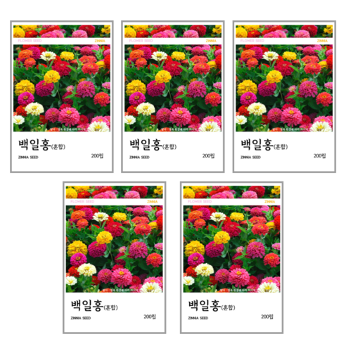 백일홍(혼합) 씨앗 200립, 5개