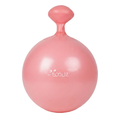 에코리즈 밸런스 짐볼, 55cm 인디핑크