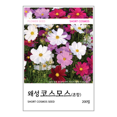 왜성코스모스(혼합) 씨앗 200립, 1개