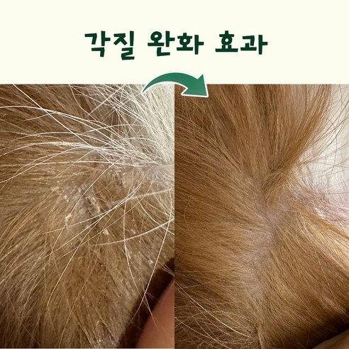 아이오콤마 PDRN 천연 저자극 고보습 비듬 각질 습진 강아지 샴푸 솔직 후기 | 실제 사용자 리뷰 총정리 - 상품 이미지 3