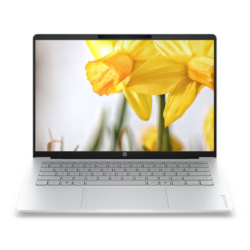 HP 2026 옴니북 5 14 라이젠5 라이젠 200 시리즈, Glacier silver aluminum, 14-hn0015AU, 512GB, 16GB, Free DOS