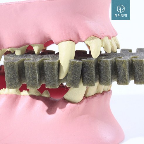 몬트인섹트 강아지덴탈껌 양치껌 치석제거껌 가수분해 알러지 간식 솔직 후기 | 실제 사용자 리뷰 총정리 - 상품 이미지 3