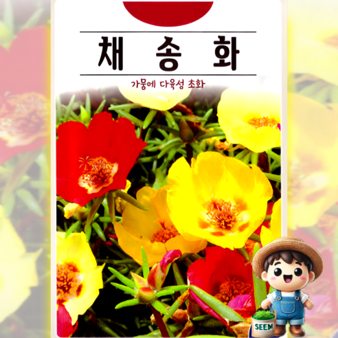 KS종묘 채송화 5000립 초화 꽃씨 씨앗 종자, 1개