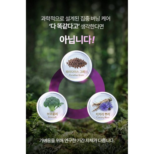 [정품] 파라다이스 그레인 버닝S HACCP 인증 60정, 2개 이미지 4