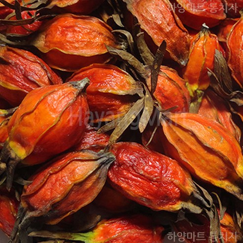 국내산 치자 1개 백원대 국산 전라남도 통치자 맛있게 먹은 솔직 후기 썸네일