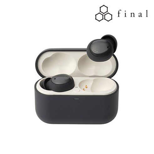 파이널 무선 블루투스 이어폰 ZE500 for ASMR DARK GRAY 4.5시간
