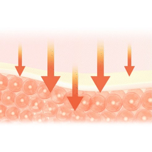 전자파차단 원적외선 기능성 복부 허리 온열찜질기 후기 분석 - 선물용 패키지 구성