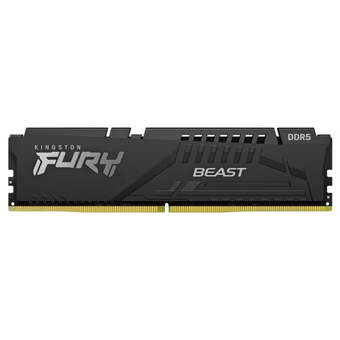 킹스톤 퓨리 비스트 DDR5 데스크톱 메모리 32GB 6000MHz 블랙, 1개, KF560C40BB/32