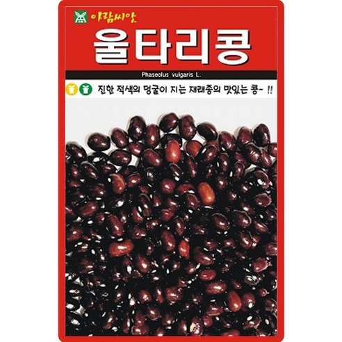 아람종묘 울타리콩 씨앗 30g 넝쿨성 재래종 울타리콩씨 종자, 1개