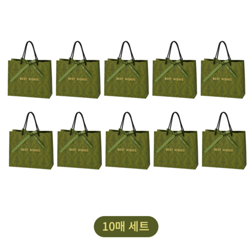 MISI 감성 고급 선물 쇼핑백 10P, 10개, 그린