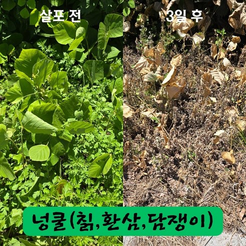 천연 재료 풀 잡초 제거제로 번거로운 풀 뽑기 끝내고 싱그러운 마당에서 여유를 되찾으세요