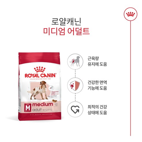 로얄캐닌 어덜트 강아지 미디엄 건식사료 솔직 후기 | 실제 사용자 리뷰 총정리 - 상품 이미지 2