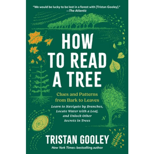 (영문도서)How to Read a Tree: Clues and Patterns from Bark to Leaves Paperback, Experiment, English, 9798893031461