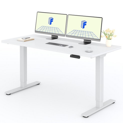 [쿠팡] FlexiSpot 듀얼모터 모션데스크 EJ2 (234,900원/무배)