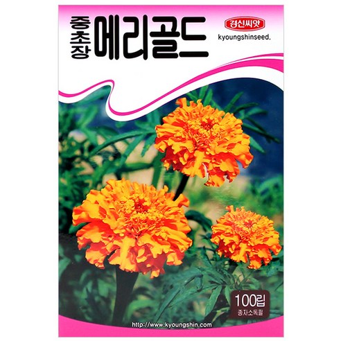 세인화분 중초장 메리골드 100립 - 씨 씨앗 꽃씨 국화, 1개