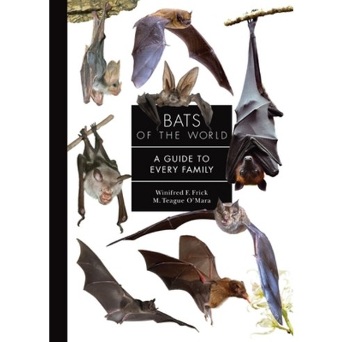 (영문도서)Bats of the World: A Guide to Every Family Hardcover, Princeton University Press, English, 9780691265216
