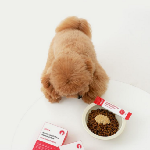 마싯츄 리포좀 강아지 기관지 심장 솔직 후기 | 실제 사용자 리뷰 총정리 - 상품 이미지 2