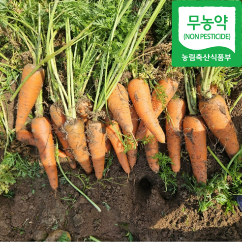 친환경 흙당근으로 매일 아침 싱그러움을 더하세요