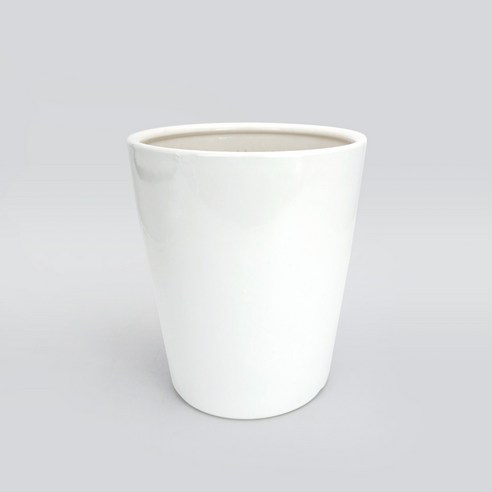 밋밋한 공간에 초록빛 생기를 더하는 완벽한 선택