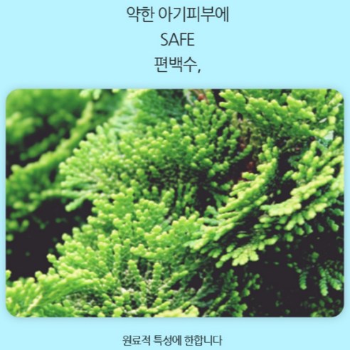 누누베베 벅스 골드 물티슈 캡형 이미지 4