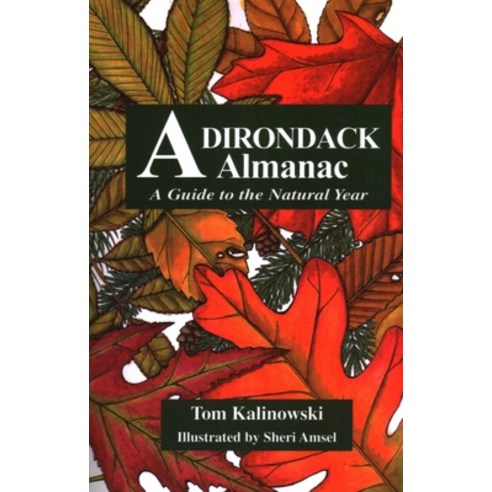 (영문도서)Adirondack Almanac Paperback, North Country Books, English, 9780925168672