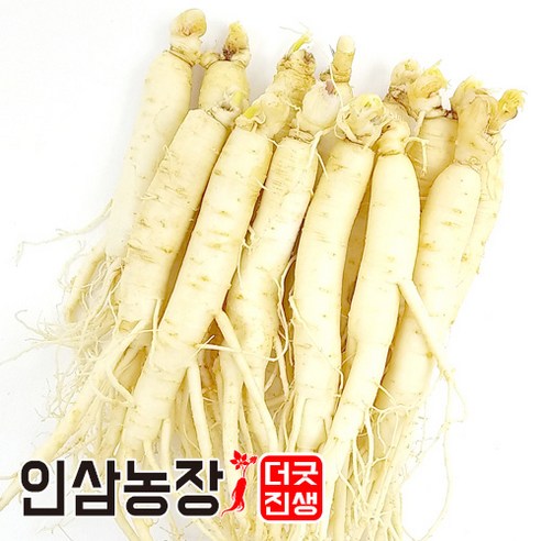 인삼 수삼 금산인삼 세척 원수삼 더굿진생 실사용 후기 | 효과 있을까? - 상품 이미지 1