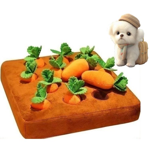 디아쿠아 애견 당근 뽑기 노즈워크 강아지 장난감 솔직 후기 | 실사용자 리뷰 분석 썸네일