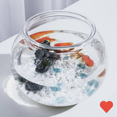 더 이상 혼자 두지 마세요 작은 친구들의 행복한 보금자리 원형어항