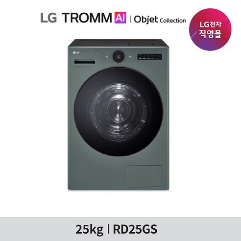 [1등급] LG 트롬 오브제 건조기 25kg RD25ES RD25GS, 그린, RD22GS