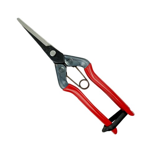 치카마사 적과가위 T-570 C2707897, 1개