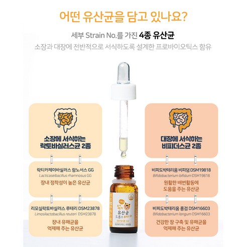 더데이 신생아 키즈 어린이 영유아 유산균 비타민D 아기 유산균 액상 유산균 드롭스 플러스D 10ml, 1개 이미지 3