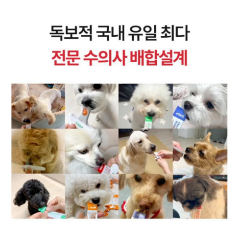 마싯츄 리포좀 강아지 기관지 심장 이미지 4