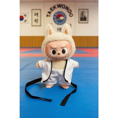 라부부 인형꾸미기 인형옷 귀여운 태권도복 15cm 17cm 인형, 1개, 우비