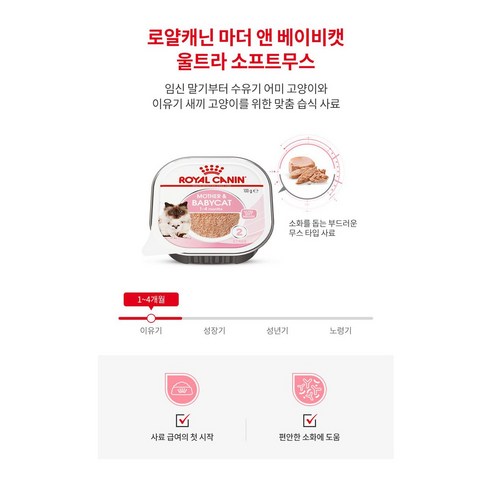생후 1개월 2개월 이상 아기고양이 새끼고양이 이유식 습식 사료 솔직 후기 | 실제 사용자 리뷰 총정리 - 상품 이미지 2